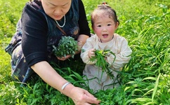 双指探洞感觉要飞了